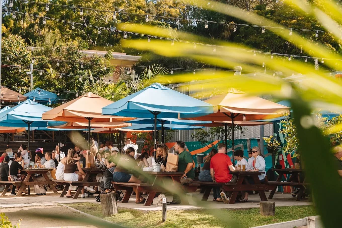 Matso's Sunshine Coast